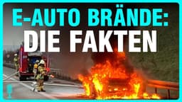 IrSIutILozs IrSIutILozs