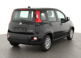 Fiat_Panda_Base_1.0_GSE_Mild-Hybrid,_Klima_51 kW_(69 PS),_..._Jahreswagen