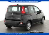 Fiat_Panda_Base_1.0_GSE_Mild-Hybrid,_Klima_51 kW_(69 PS),_..._Jahreswagen
